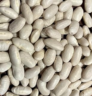 Sorana Cannellini Bean Italian Heirloom Seeds for Planting Packet
