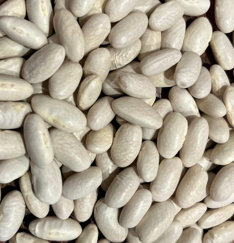 Sorana Cannellini Bean Italian Heirloom Seeds for Planting Packet
