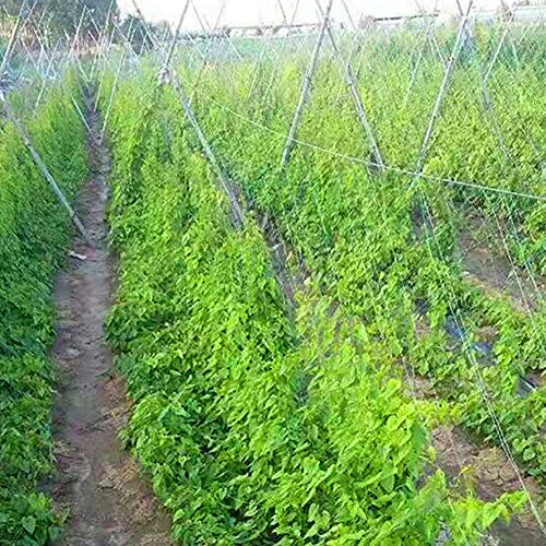 Socobeta Tuinieren Netting, Tuin Mesh Tuin Netting Frame Netting Vijver Netting Hoge dichtheid Nylon voor Komkommer Wijnstok - Image 5