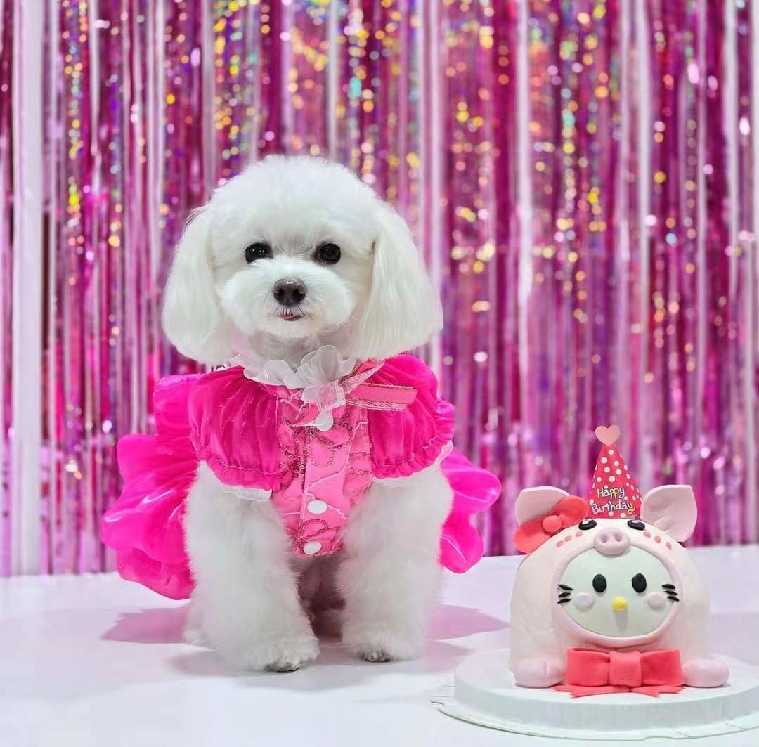 Handmade Hot Pink Princess Dog Dress Elegant Lace Birthday Party Outfit for Small Dogs & Cats Pet Costume Clothes