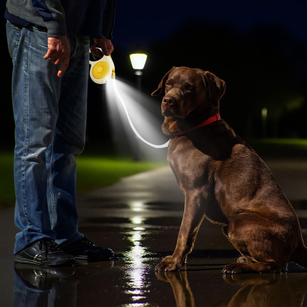 Einziehbare Hundeleine, 5m, Robuste Hundeleine aus Nylon mit LED-Licht, 360° Verwicklungssicher, Ausziehbare Haustier Leine für Kleine und Mittelgroße Hunde Bis zu 50kg