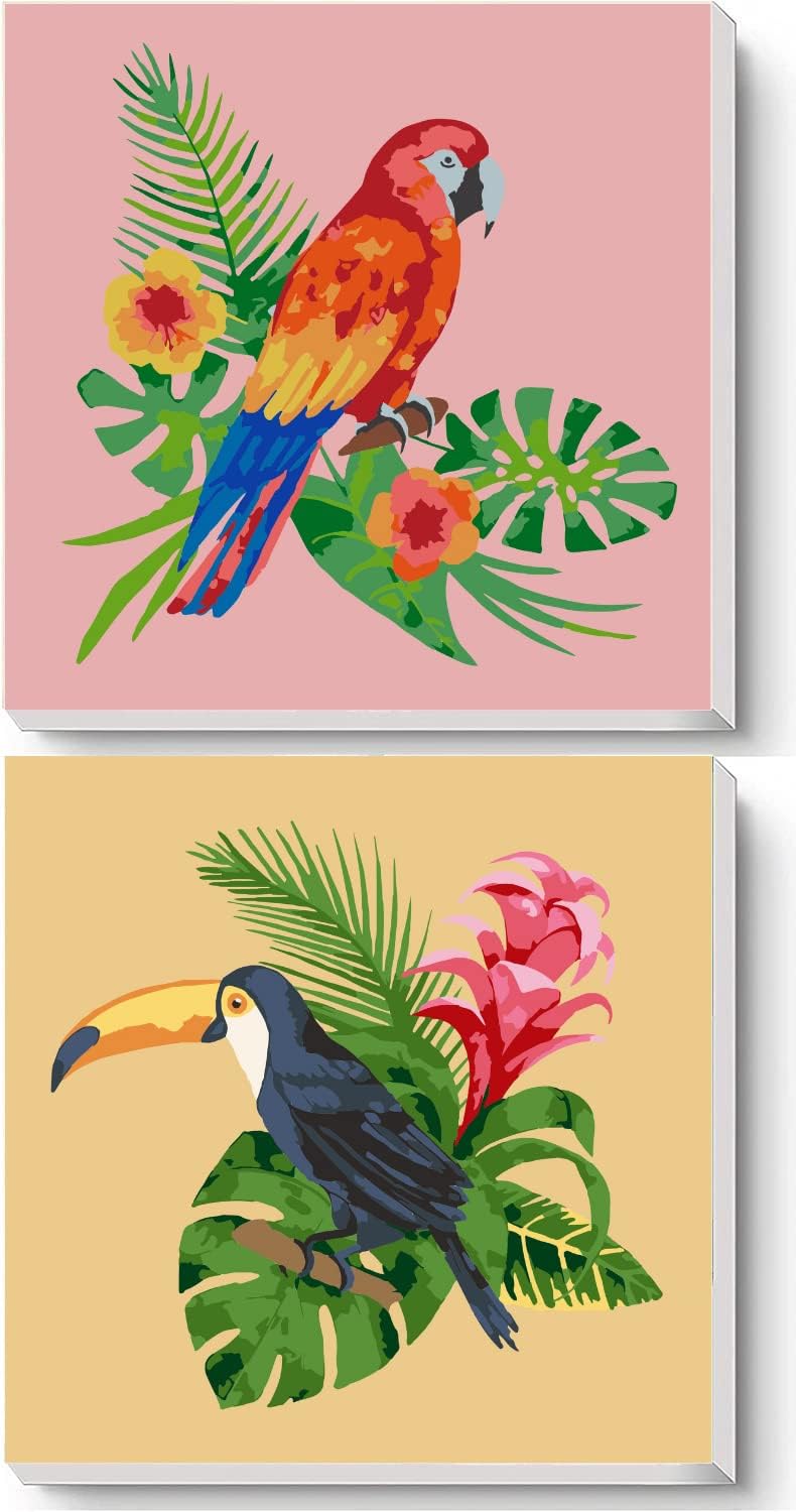 Neopalette 2 Framed DIY Paint by Number for Adults Arts