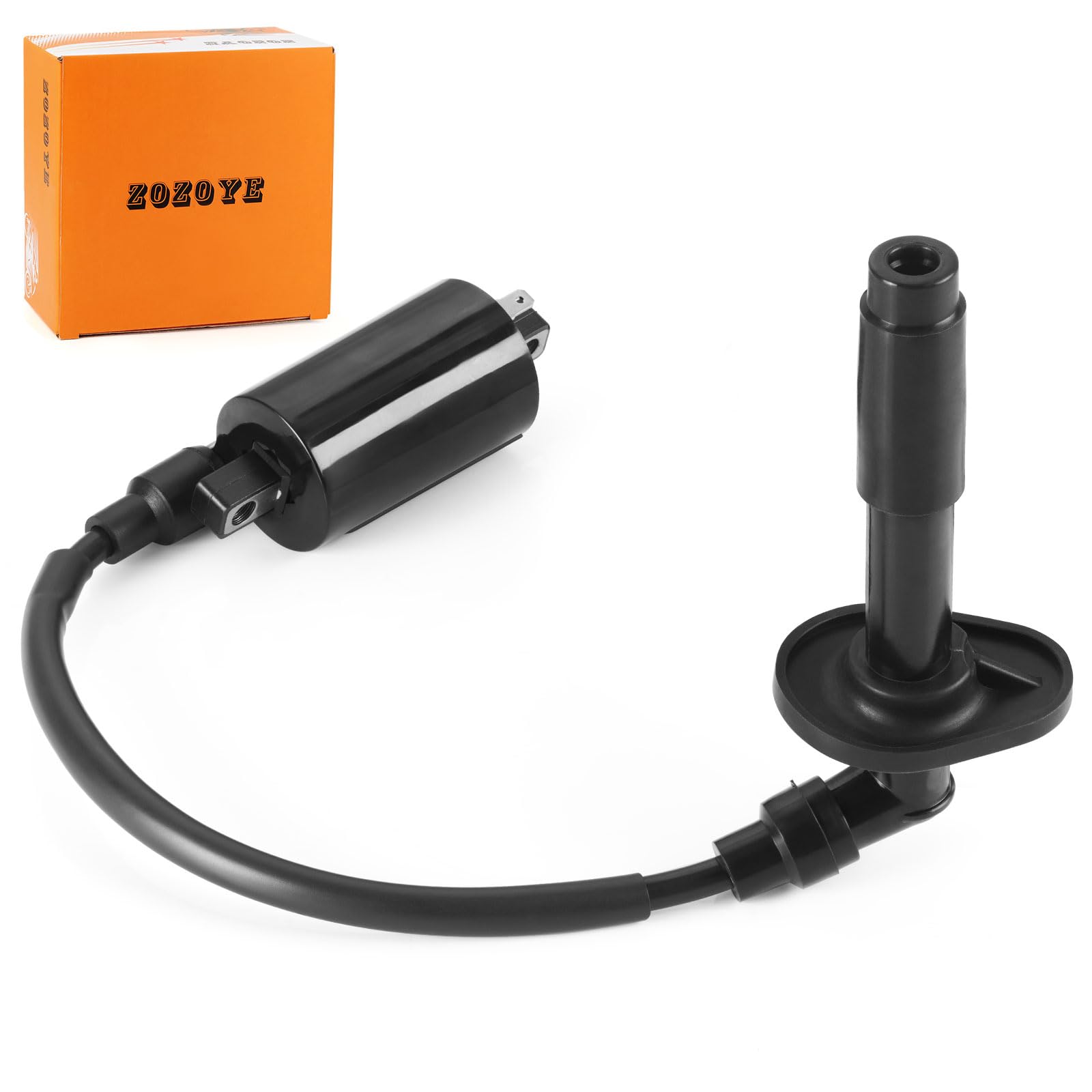 Amazon.com: Ignition Coil & Spark Plug Cap for Kawasaki