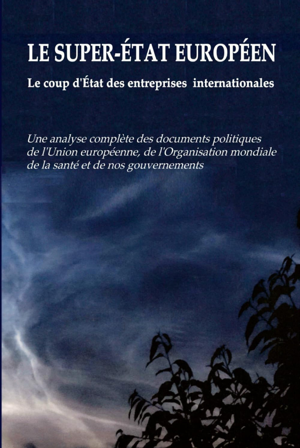 LE SUPER-ÉTAT EUROPÉEN - Le coup d'État des entreprises internationales: Une analyse complète des documents politiques de l'Union européenne, de ... mondiale de la santé et de nos gouvernements