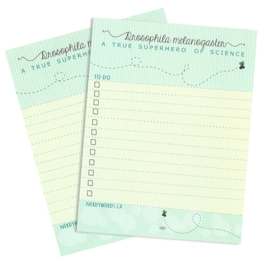 Drosophila melanogaster (Fruit Fly) To Do List and Lined Notepad (2-Pack) by Nerdy Words