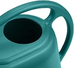 Fasmov Canette d'arrosage en plastique, 1-Gallon, vert