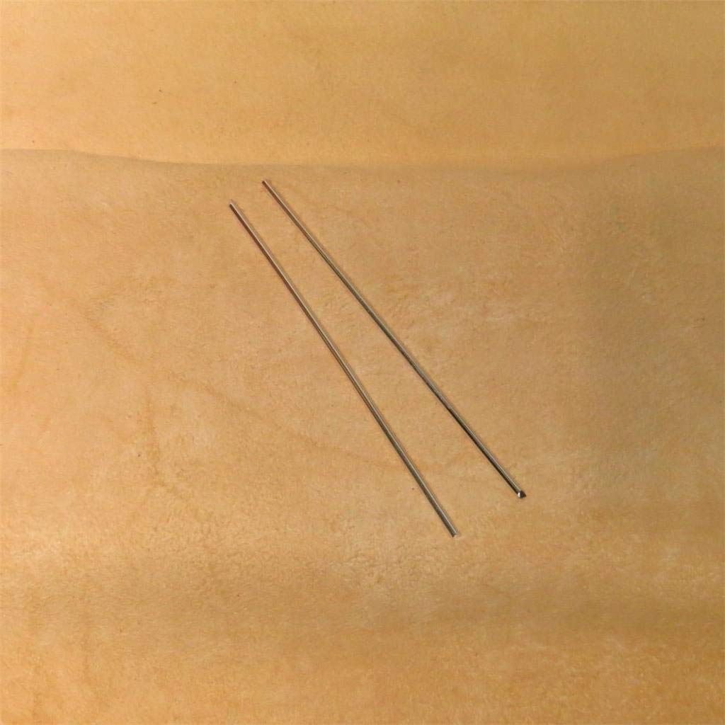 99.995% Pure Silver Wire 12 Gauge • 4-inch Rod Set (2 Rods) • Origin USA • Colloidal Generator Wire • Guaranteed .99995+ Purity by Golden State Silver • Certified Test Report Included