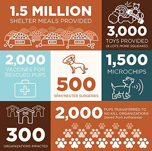 Grounds & Hounds Three Blend Starter Kit - Ground, 100% Organic Coffee Variety Pack, Bulk Ground Coffee, Includes Three 6Oz Bags Of Our Most Popular Blends #TOP2