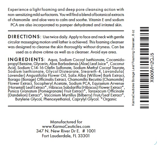 Borage Leaf Foaming Cleanser, 8 oz. - Image 2