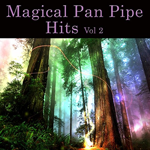 Amazon Music Wolfgang RemoのMagical Pan Pipe Hits Vol. 2 Amazon.co.jp