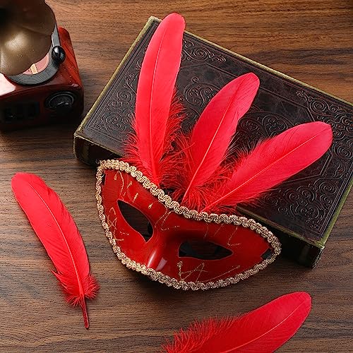 Plumas de ganso rojo Ballinger: 120 piezas de 6-8 pulgadas para manualidades 6