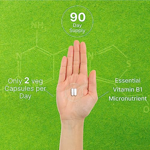 Image of Benfotiamine 600mg Per Serving, 180 Veggie Capsules (300mg Per Cap) - Fat Soluble Vitamin B1 Thiamine Supplement - 3rd Party Tested, Vegan, Non-GMO, Gluten Free