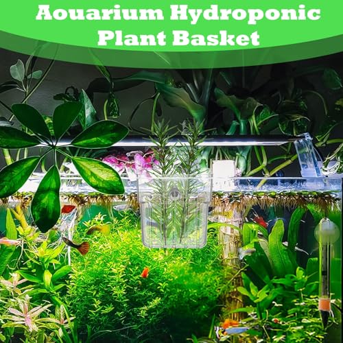 Image of 8 Clear Acrylic Aquarium Plant Holders with Hooks for Aquaponic Plant Cultivation and Aquarium Water Feature Decoration