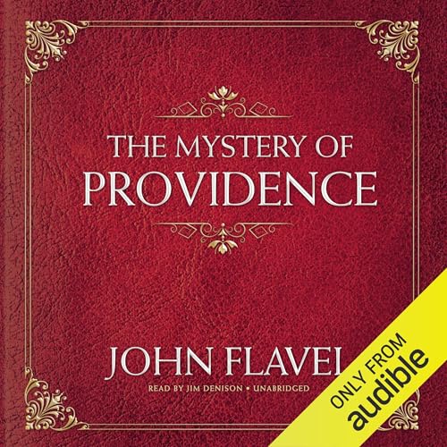 Page de couverture de The Mystery of Providence