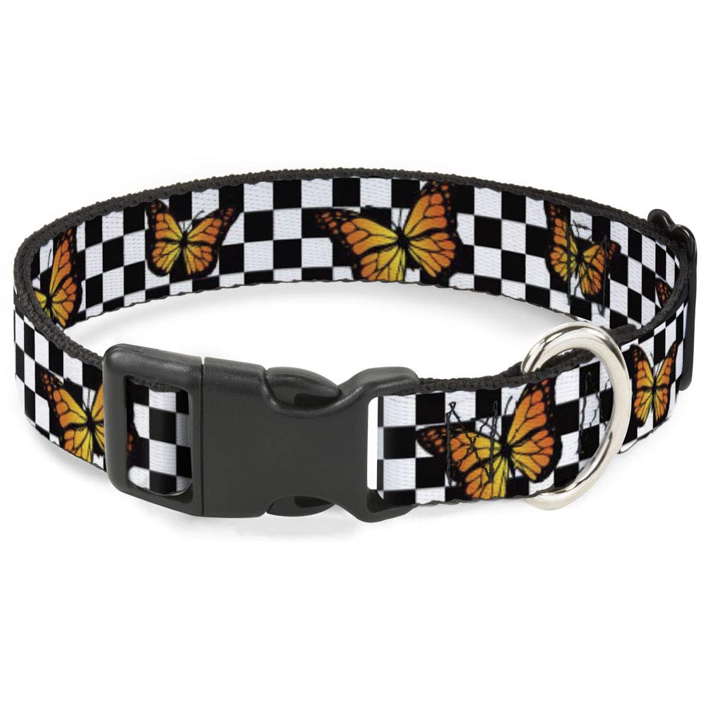 Collier chien motif papillon monarque pour promenades en ville