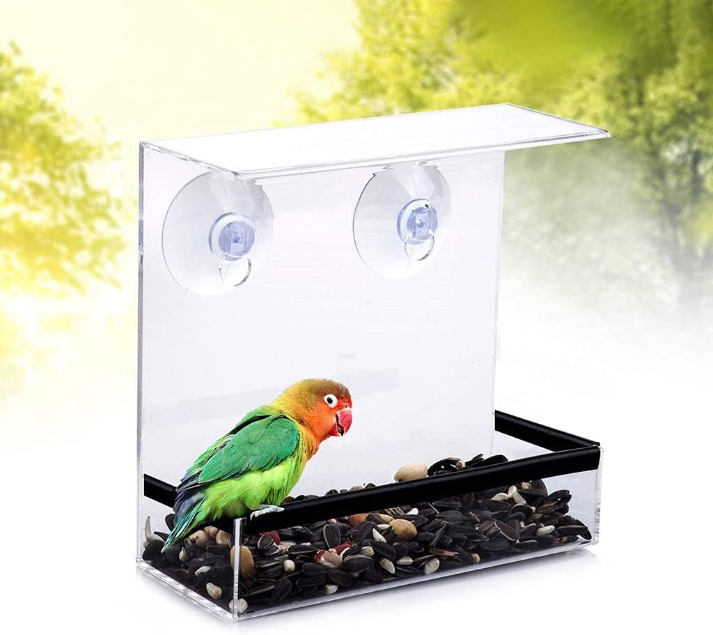 Clear Glass Window Viewing Bird Feeder Hotel Table Peanut Hanging Suction Alimentador Adsorption House Type Bird Feeder