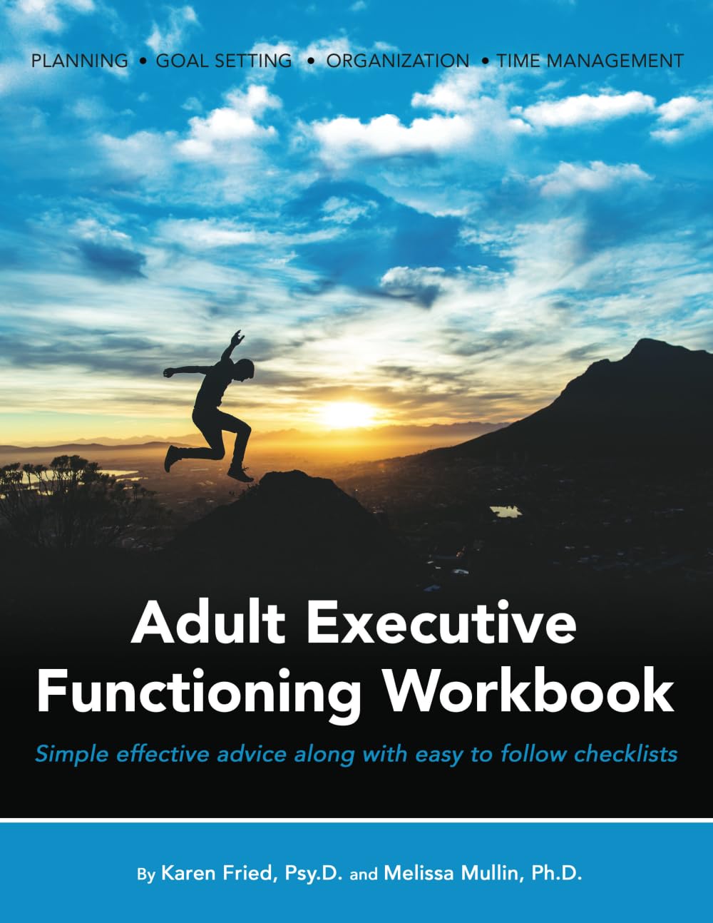 Adult Executive Functioning Workbook: Simple effective advice along with easy to follow checklists.