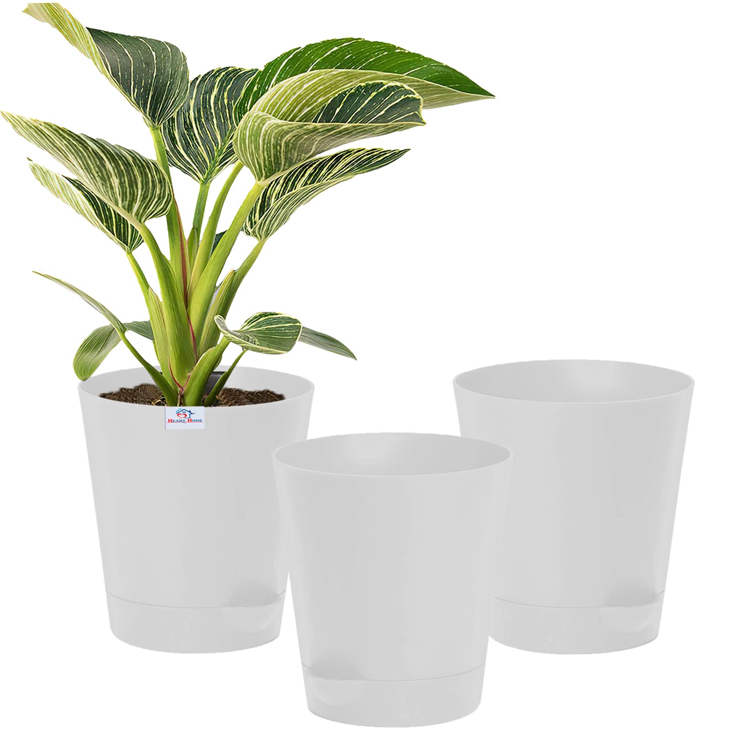Heart Home Plastic Titan Pot|Garden Container for Plants & Flowers|Self-Watering Pot with Drainage Holes,6 Inch,Pack of 3 (White) (B0BBMSXGSY) Amazon Price History, Amazon Price Tracker