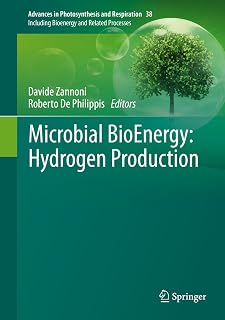 Microbial BioEnergy: Hydrogen Production (Advances in Photosynthesis and Respiration Book 38)