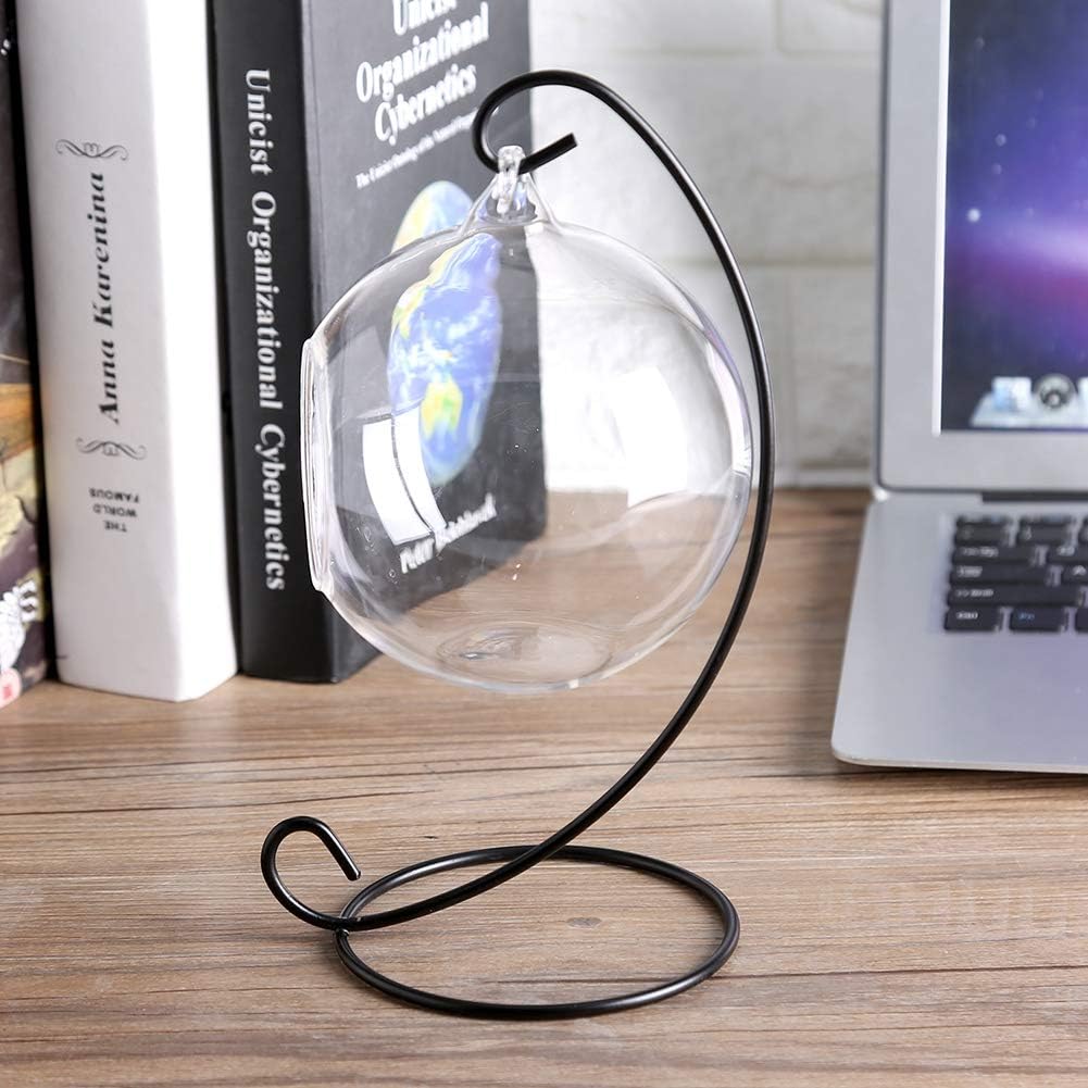 Large Clear Glass Terrarium Vase Hanging for Air Plants with Black Metal Stand Decorative Indoor Outdoor Easy to Hang Rustic Farmhouse Home Office Decor