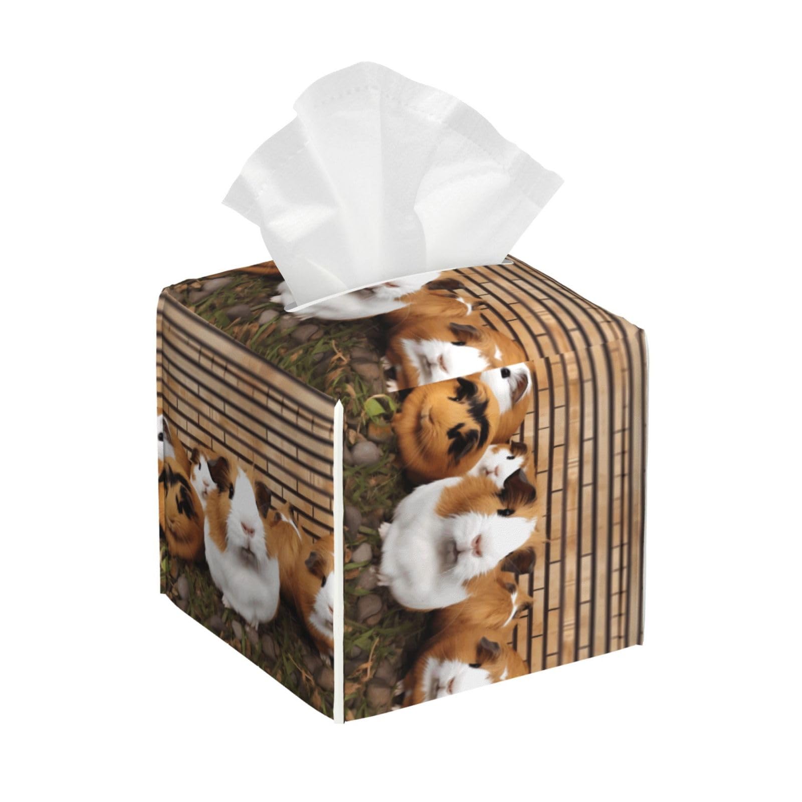 Guinea Pigs Tissue Box Cover Square Cube Boxes