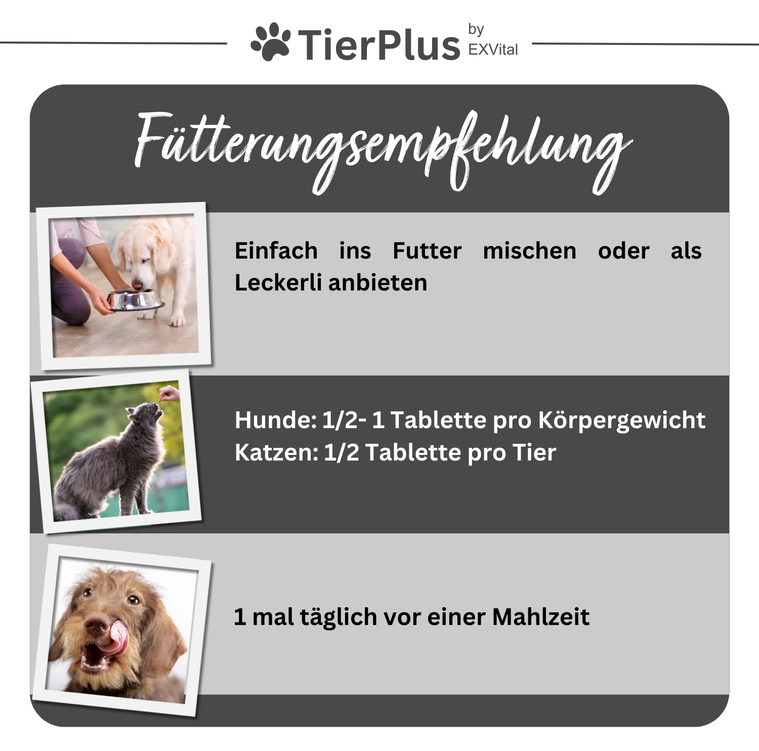 TierPlus Gelenktabletten für Hunde mit Grünlippmuschel, MSM, Ingwer, Chondroitin, Glucosamin und Teufelskralle angereichert. Hohe Fressakzeptanz, 120 Stück, Made in Germany