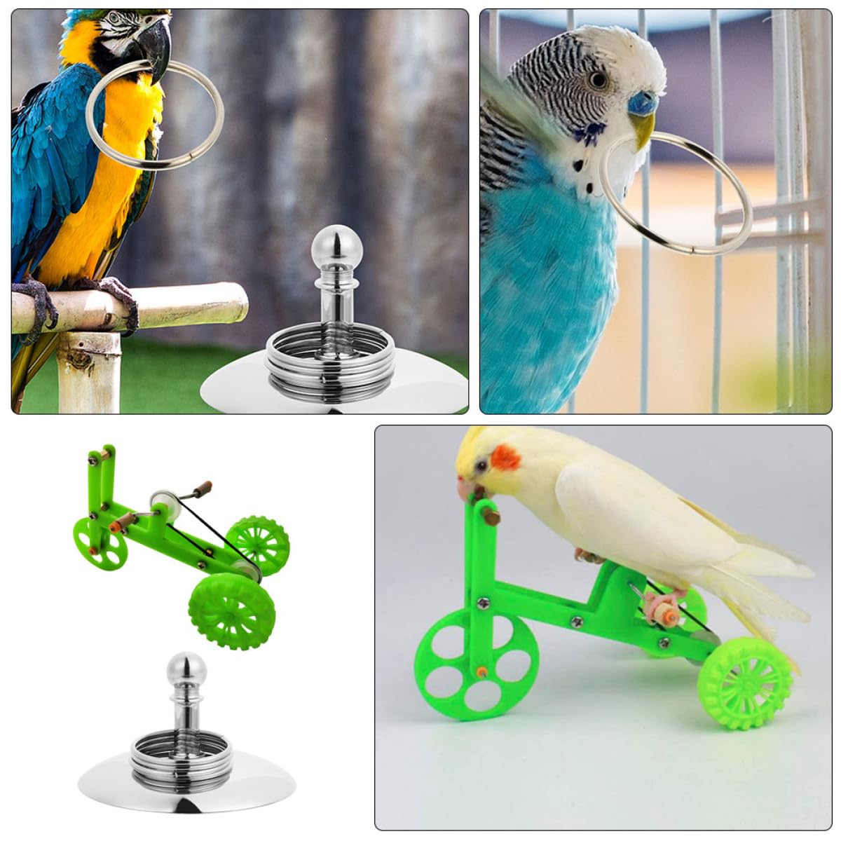 minkissy 4 Sets Papagei Spielzeug Vogel Ausbildung Spielzeug Vogel Papagei Einfach Zu Bedienen