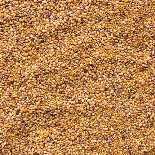 Mini Clover Lawn Seed Blends For Soil Improvement