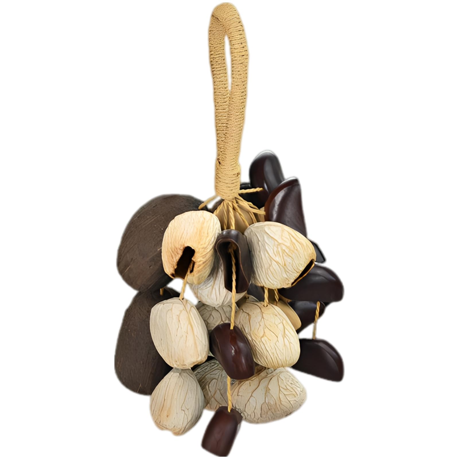 Shaker naturel, hochet artisanal en coque de noix de 25-30 cm, 11 cordes, instrument de percussion pour yoga, détente et relaxation, modèle chacha panji salin juju