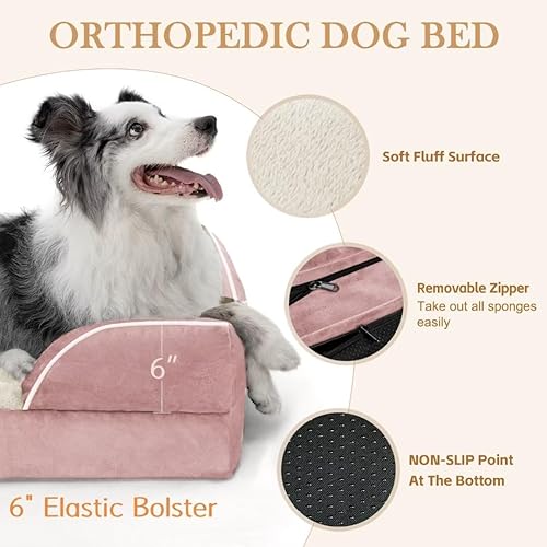 Miniatura 561 de Comfort Expression - Cama ortopédica para perros extragrandes, 53 x 42 pulgadas, cama impermeable y de apoyo de espuma con cojines removibles, con