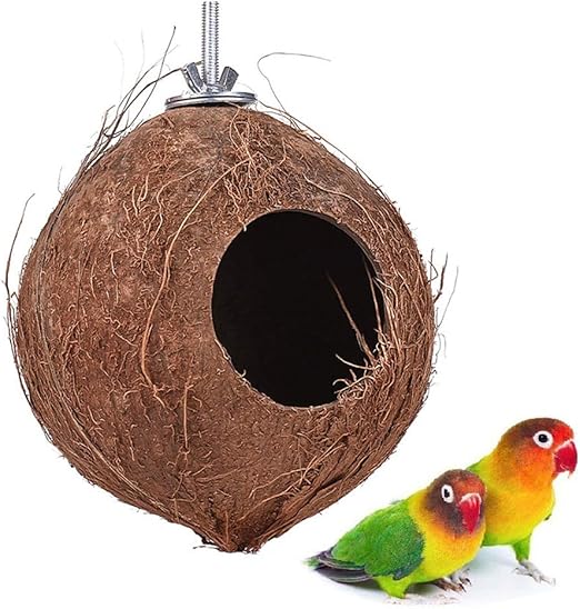 Mangime Per Uccelli Inseparabili E Parrocchetti 5kg Bonus SD8 Sementi Dotto - Foto 8