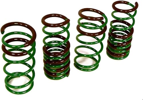 Tein para Lexus 2014 RC-F2016-2021 GS-F S Tech Springs  SKTB2-AUB00 disponible en Yaxa Costa Rica
