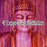 Zen Desires