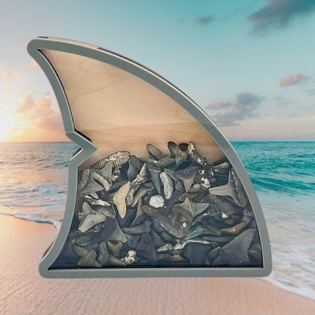 Amazon.com - Shark fin Shadow Box Made in USA (Grey fin) for Your