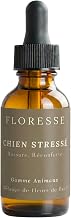 Mix Bach Flowers "Stressed Dog", Quickly comfort your dog. This is a natural anti-stress for his daily life. (10 ml)
