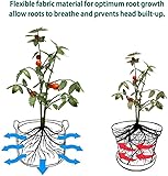 Potato Grow Bags Set 6 Pack 10 Gallon Plant Growing Bags for Vegetables Durable Root Friendly Vegetable Planting Bag with Strap Handles and Access Flap Window for Potatoes, Tomatoes, Strawberry - Image 4