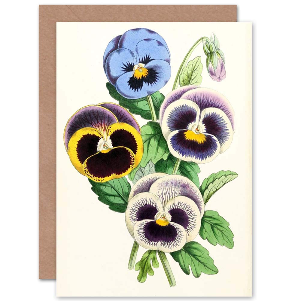 Garden Flowers Andrews Pansies Fancy Blank Greeting Card With Envelope