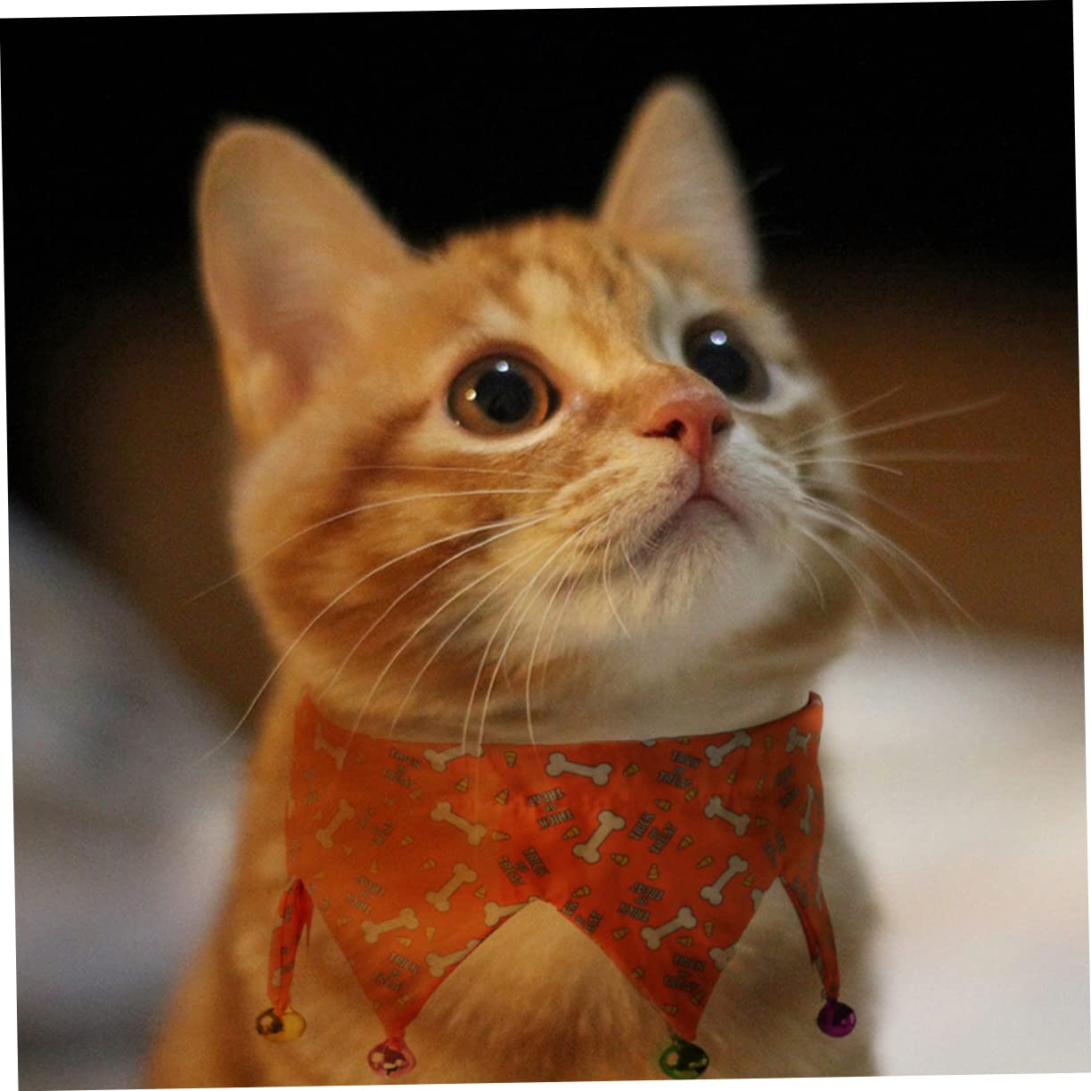 Toddmomy 6pièces Collier Ajustable pour Animaux De Compagnie avec Clochettes Lot de Halloween pour Chien Et Chat Orange Noir