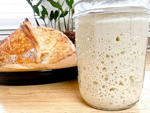WWJD Worms 900 Year Old Organic Fresh Sourdough Starter Yeast Culture - Dutch/Wales Heritage Starter