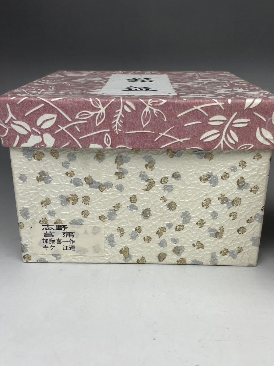 志野焼「銘：山の井」茶碗 抹茶碗 茶道具 仕覆付 木箱入 志野焼「銘：山の井」茶碗 抹茶碗 茶道具 仕覆付 木箱入