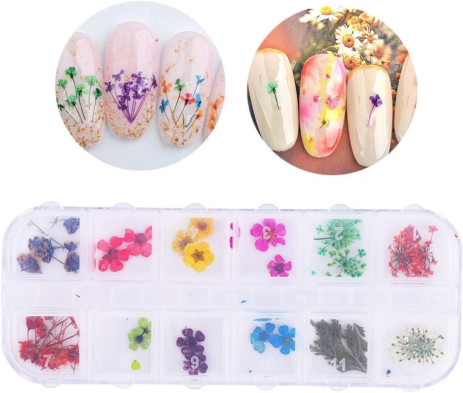Generic Różowy 12 Kolorów Naturalny Suszony Kwiat do Zdobienia Paznokci DIY Ozdobne Etui, Jasny Kolor, Który Nie Jest łatwy do Wyblaknięcia, Idealny Dekoracji Manicure z Lakierem Paznokci, (Garnitur