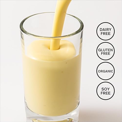 Miniatura 6 de FORAGER PROJECT Yogur bebible de anacardo orgánico y mango, 8 FZ