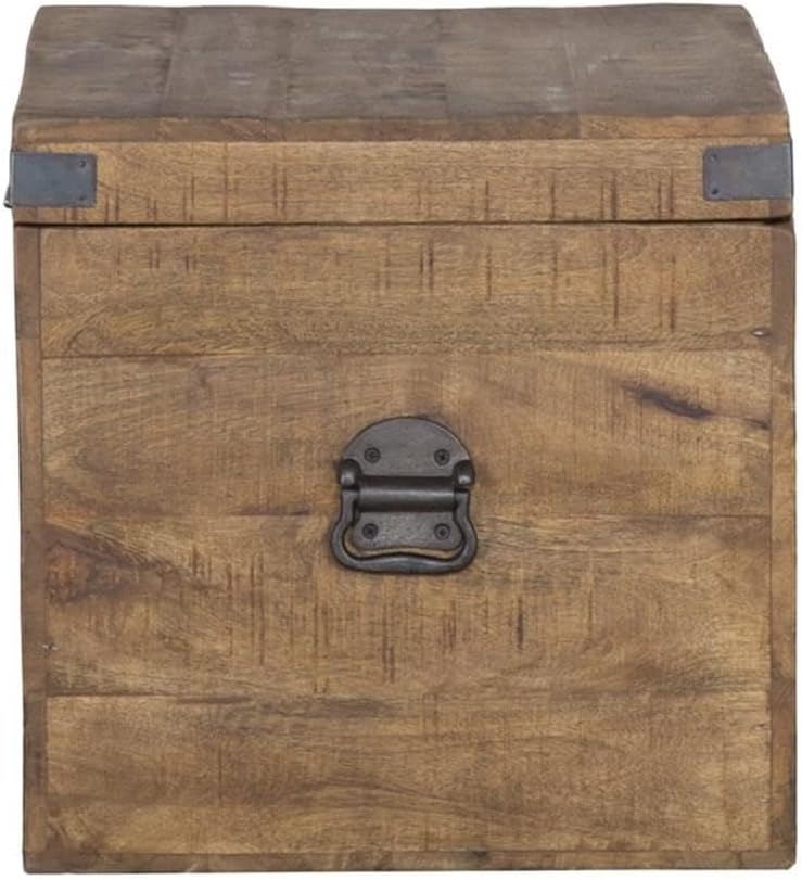 Kosas Home Livingston 18" Square Solid Mango Wood & Iron Trunk in Natural Brown