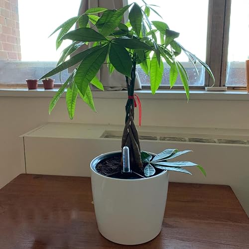 Miniatura 10 de KINJOEK Paquete de 4 macetas de riego automático de 7 pulgadas con indicador de nivel de agua, maceta blanca decorativa de jardín moderna para