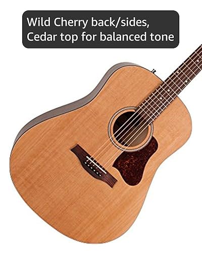 Amazon.com: Seagull S6 Original DREADNOUGHT Acoustic Guitar