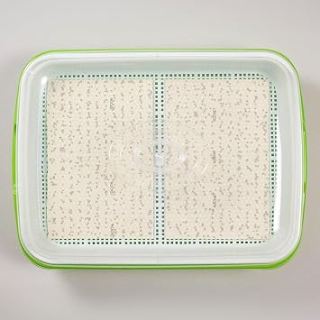 Park Seed Indoor Garden DIY Sow Effortless Collection Microgreen Growing Kit