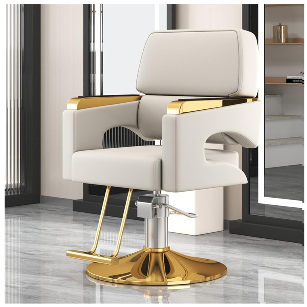 OZBMA ty Barber Salon Chair with 440Lbs Hydraulic Pump 360° Swivel Adjustable Height for Hairdressers Beauty Salons Tattoo Studios Spa Stylish White Design