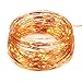 BMOUO 33ft 10-Meter 100leds Copper Wire LED Starry Novelty String Lights , AA Battery Powered LED Decor Rope Flexible lights for Seasonal Decorative Christmas Holiday Wedding Home Party (Warm White)