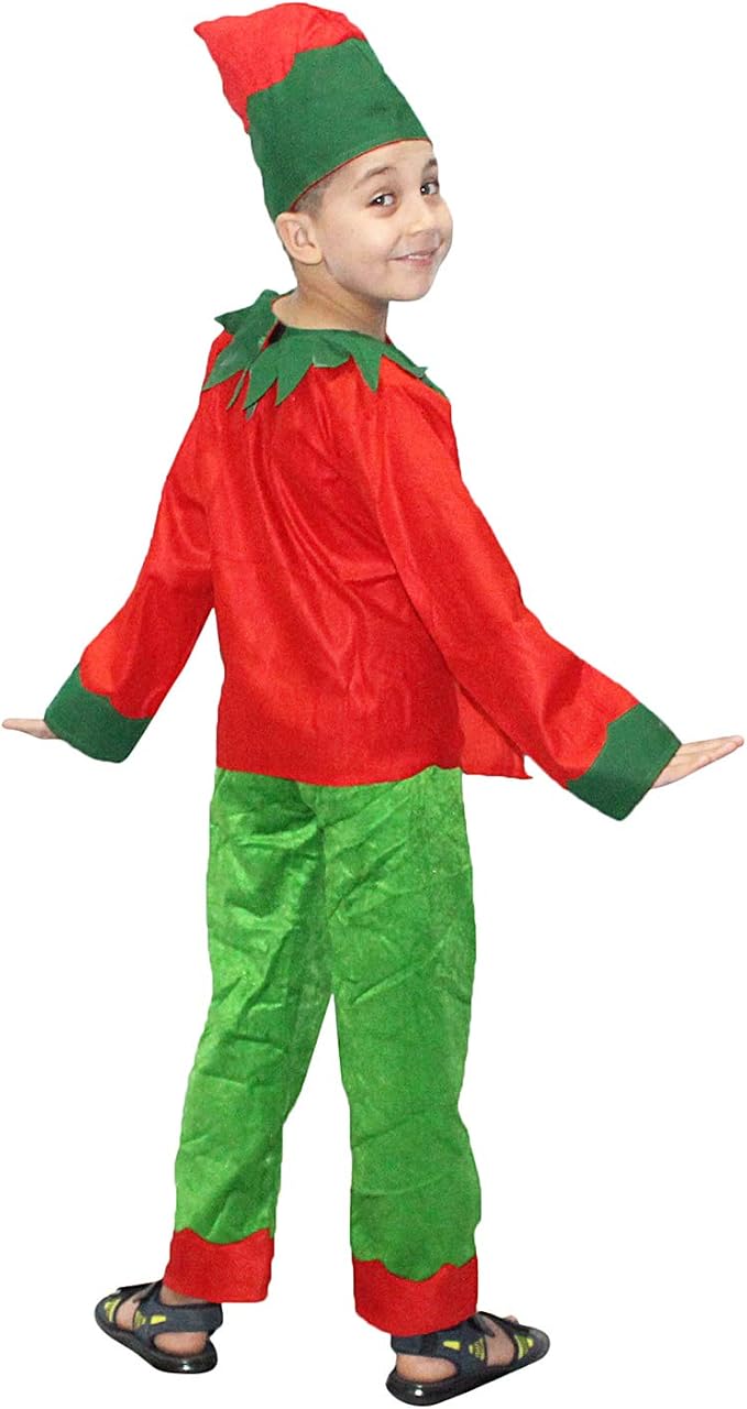 Elfs Fancy Dress for Kids,Fairy Teles 