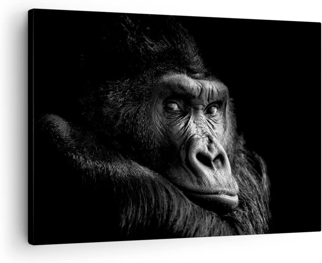 Manopola Regolazione Schienale Per Ford Transit MK8 E Custom - Ricambio Nero BK218618K78 - Foto 4